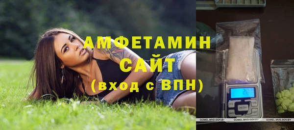 шишки Володарск
