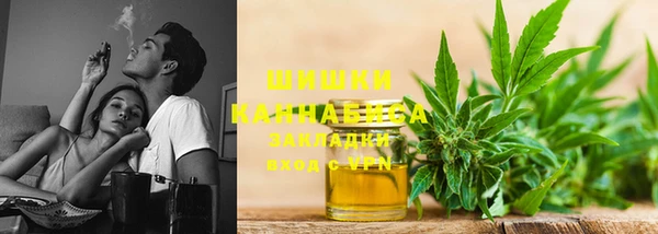 шишки Володарск