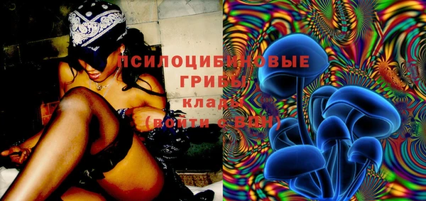 шишки Володарск