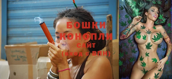 шишки Володарск
