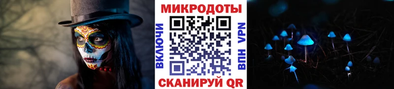 Псилоцибиновые грибы прущие грибы  Тотьма 